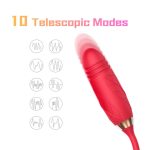 Rose Plug 2