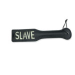 Paddle Neon 4
