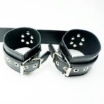 Backhand Restraint 3